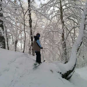 Tremblant Trees back in 2015.