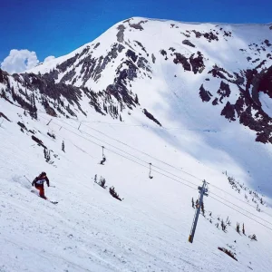 Snowbird in June, 2019, good times!