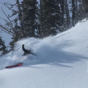 Surfy