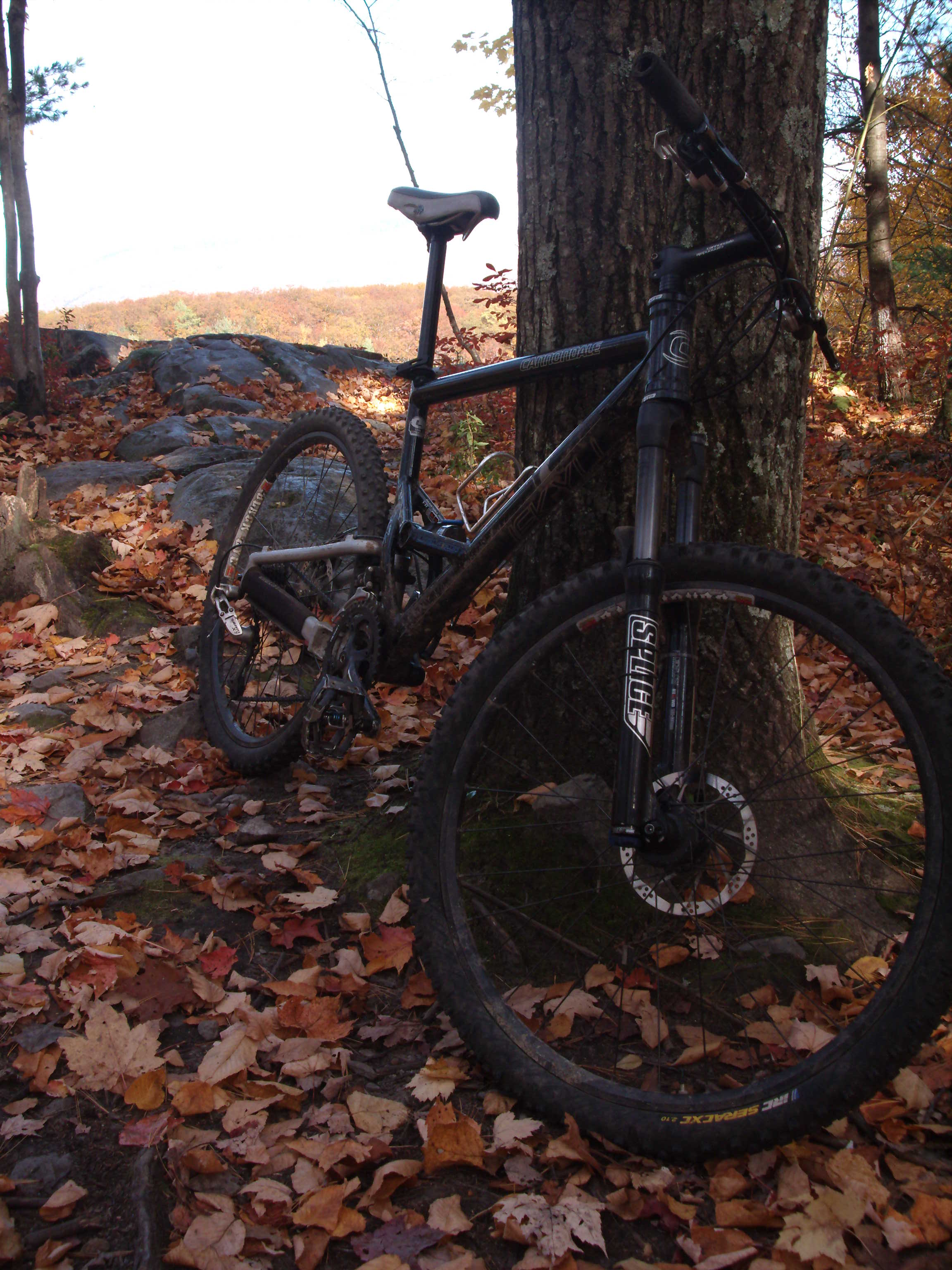 '05 Cannondale Jekyll