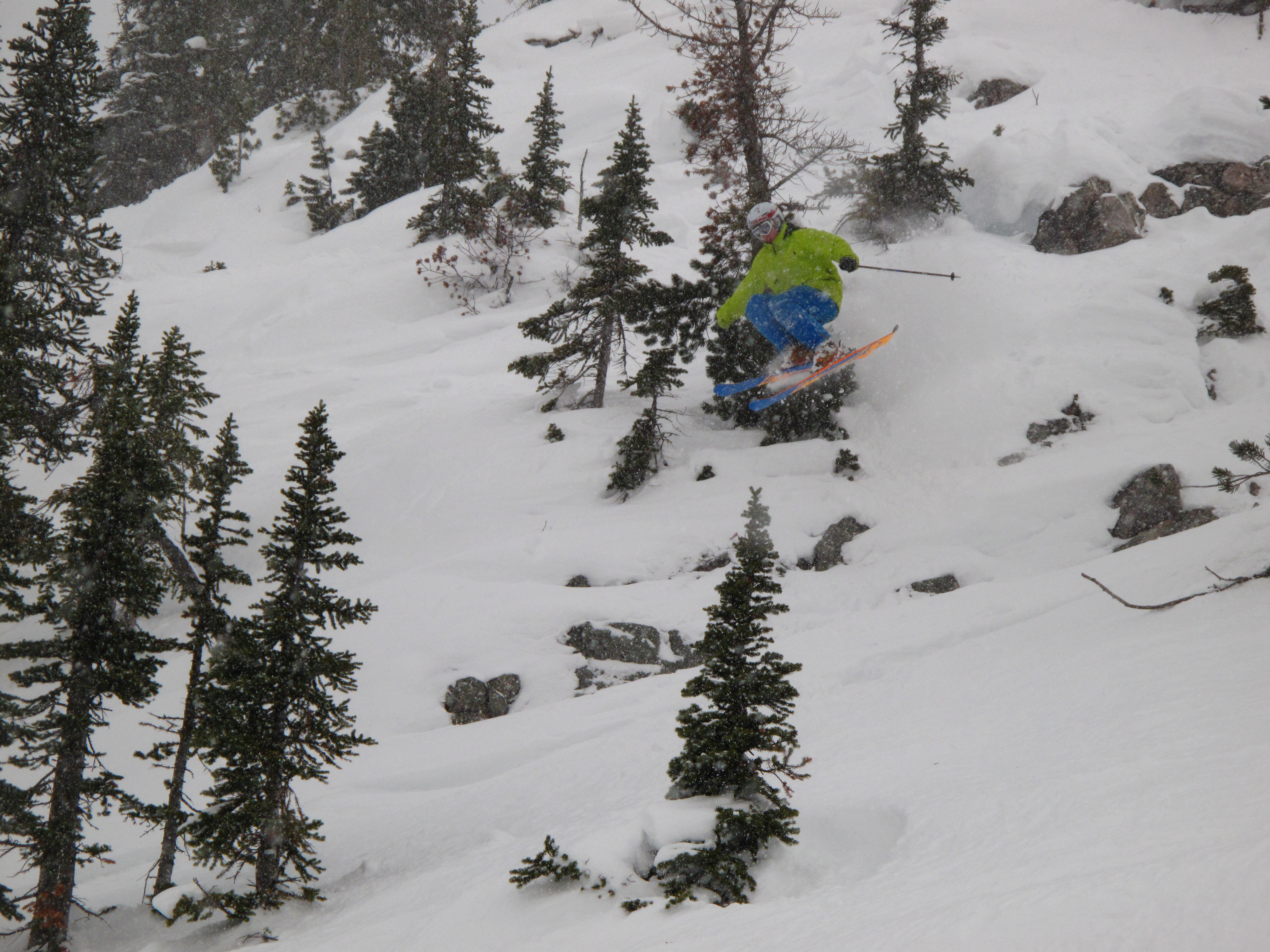 08 09 season favourite