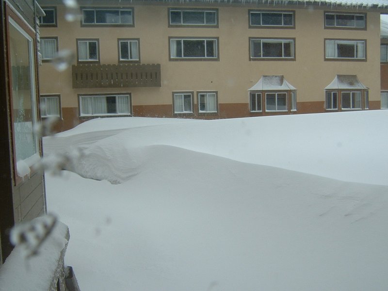 1 foot of pow overnight!!!