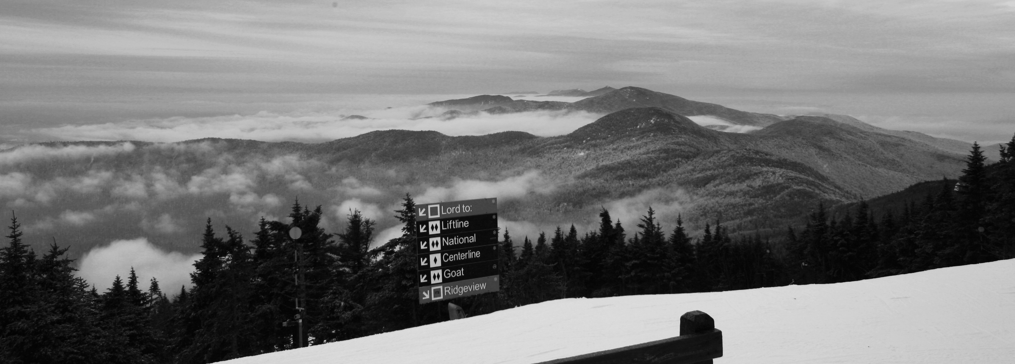 12/11/08 Top of Quad