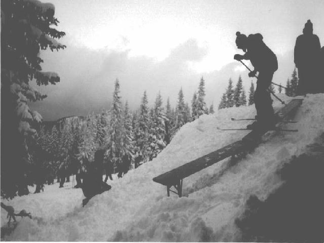 15ft kinked bench rail