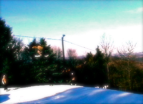 180 off the 50 footer