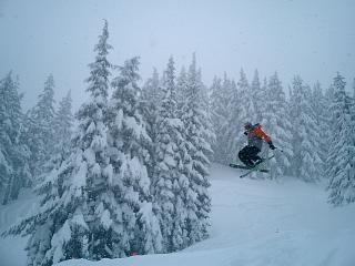 180 over bachelor table