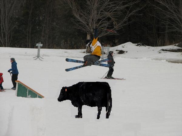 180 over cow