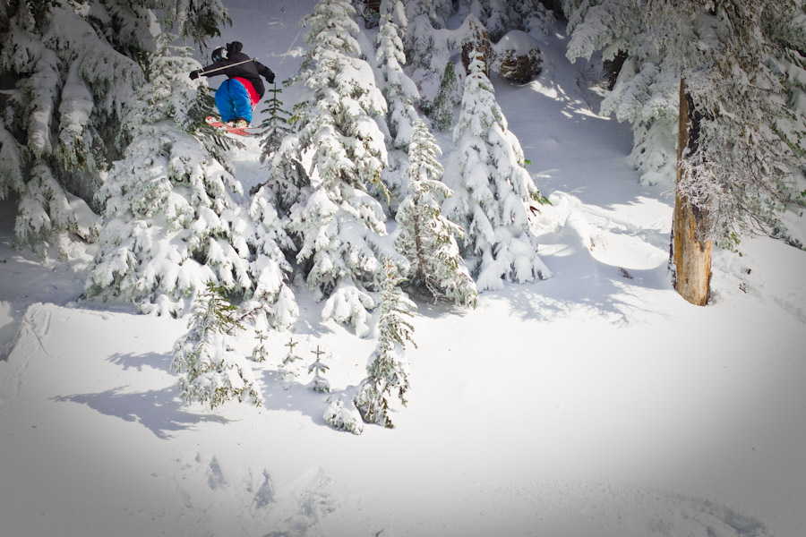 180 through some trees