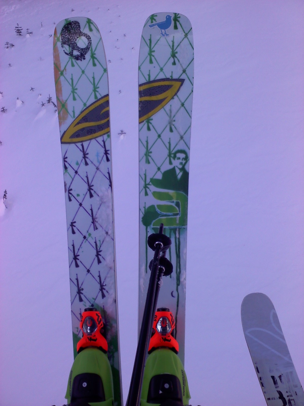 191 caylors with orange fks