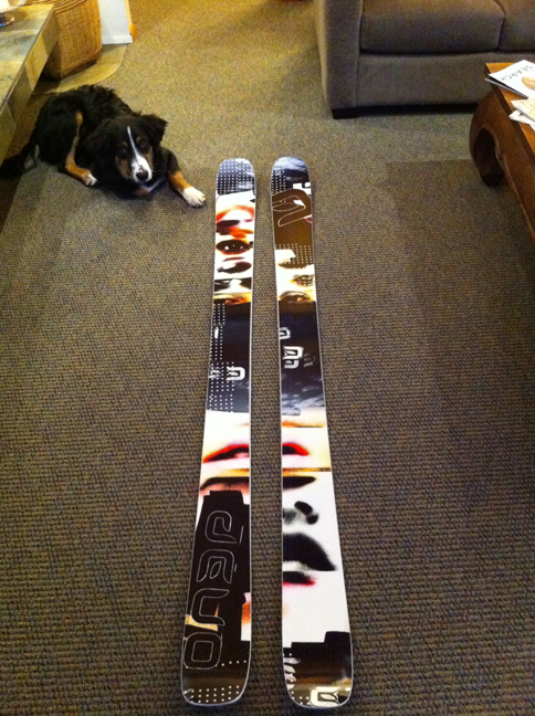 191 ON3P Caylor   Django