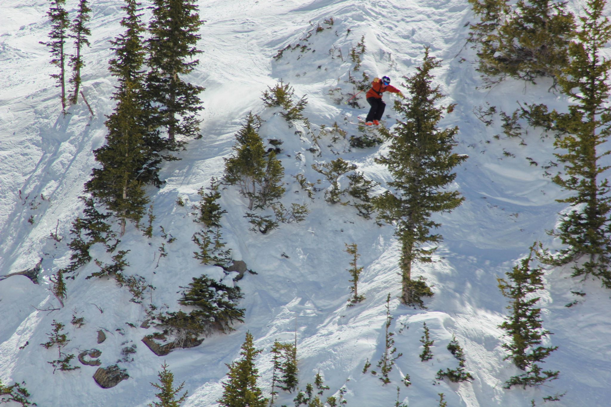 2 pic from comp at snow bird