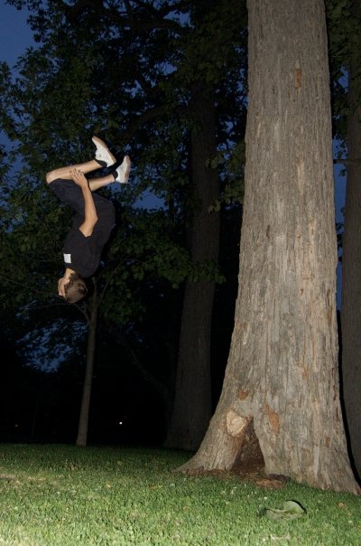 2 step Treeflip