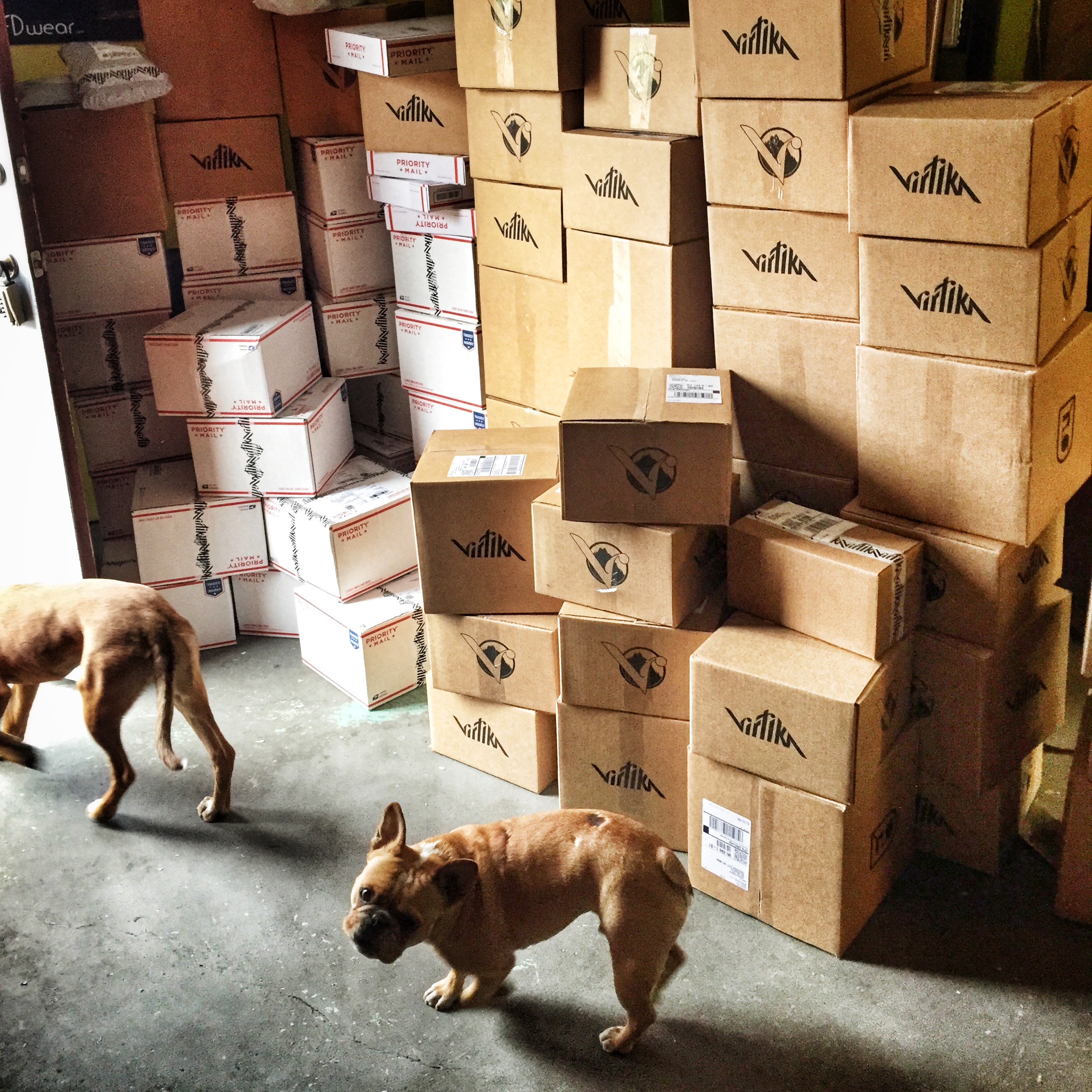 2015 pre-orders now shipping