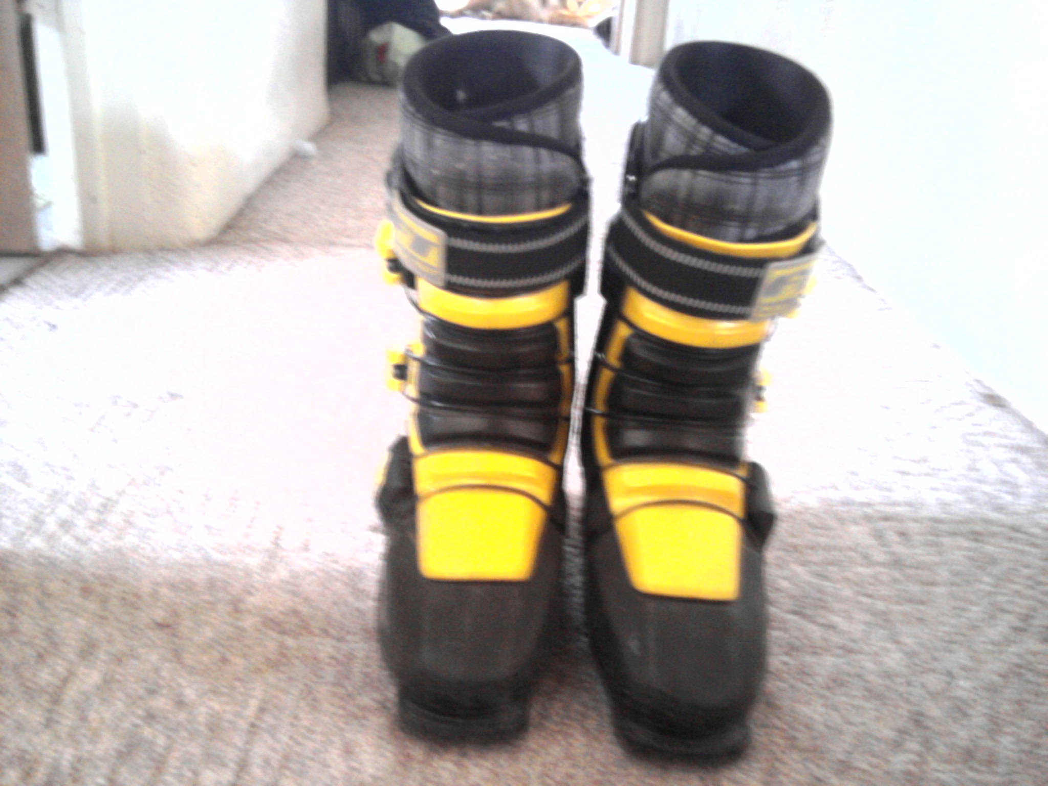 25.5 full tilts for sale