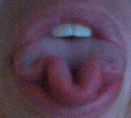 3 fold tounge, ya dig?