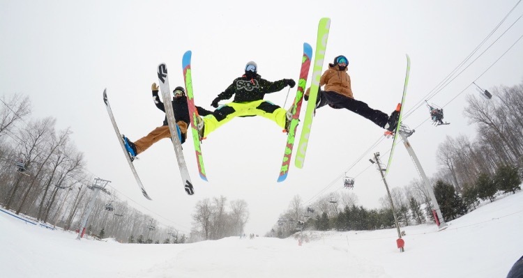 3 hoes decided to open their legs all at once 