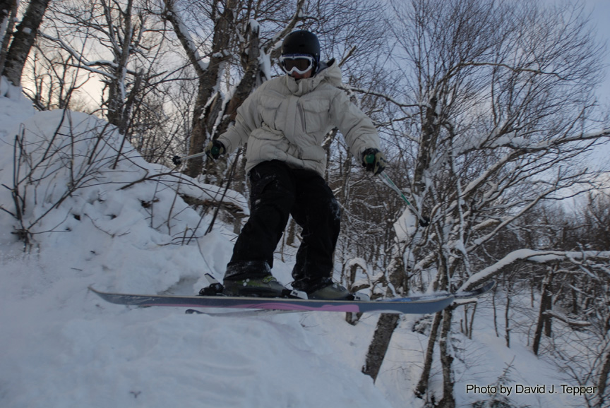 3 in the trees - 1 of 3