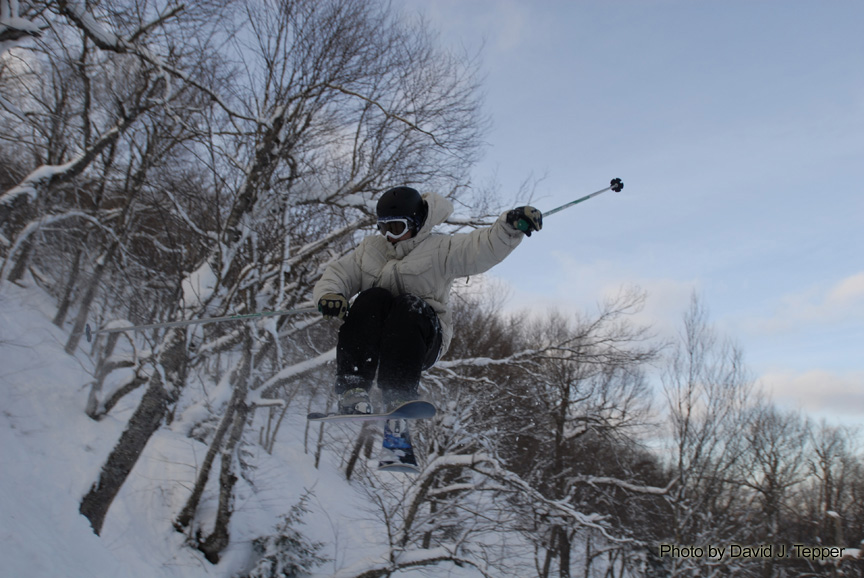 3 in the trees - 2 of 3