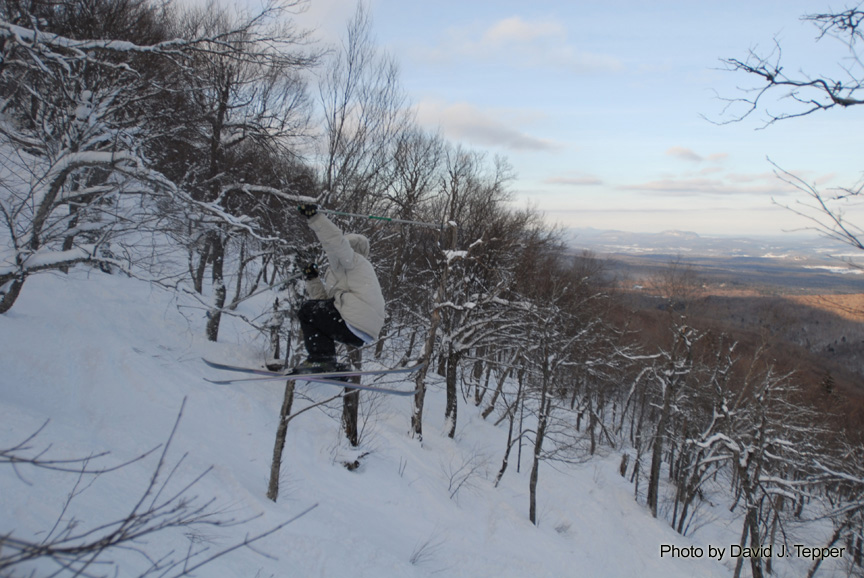 3 in the trees - 3 of 3