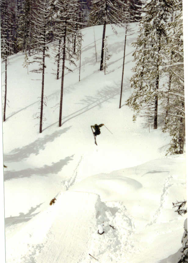 3 tail  backcountry steez