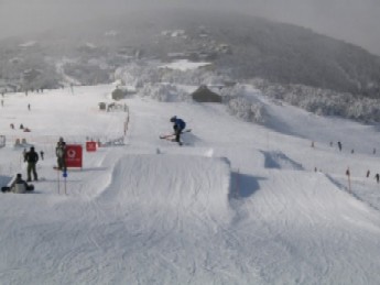 3 with a lui kang in the buller park