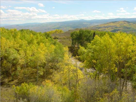 30" to Steamboat putting in the road to the homsite next week!