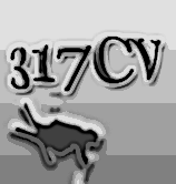 317CV2