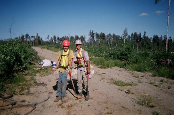 4400 trees in the ground later