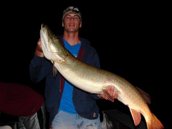 45'' Musky