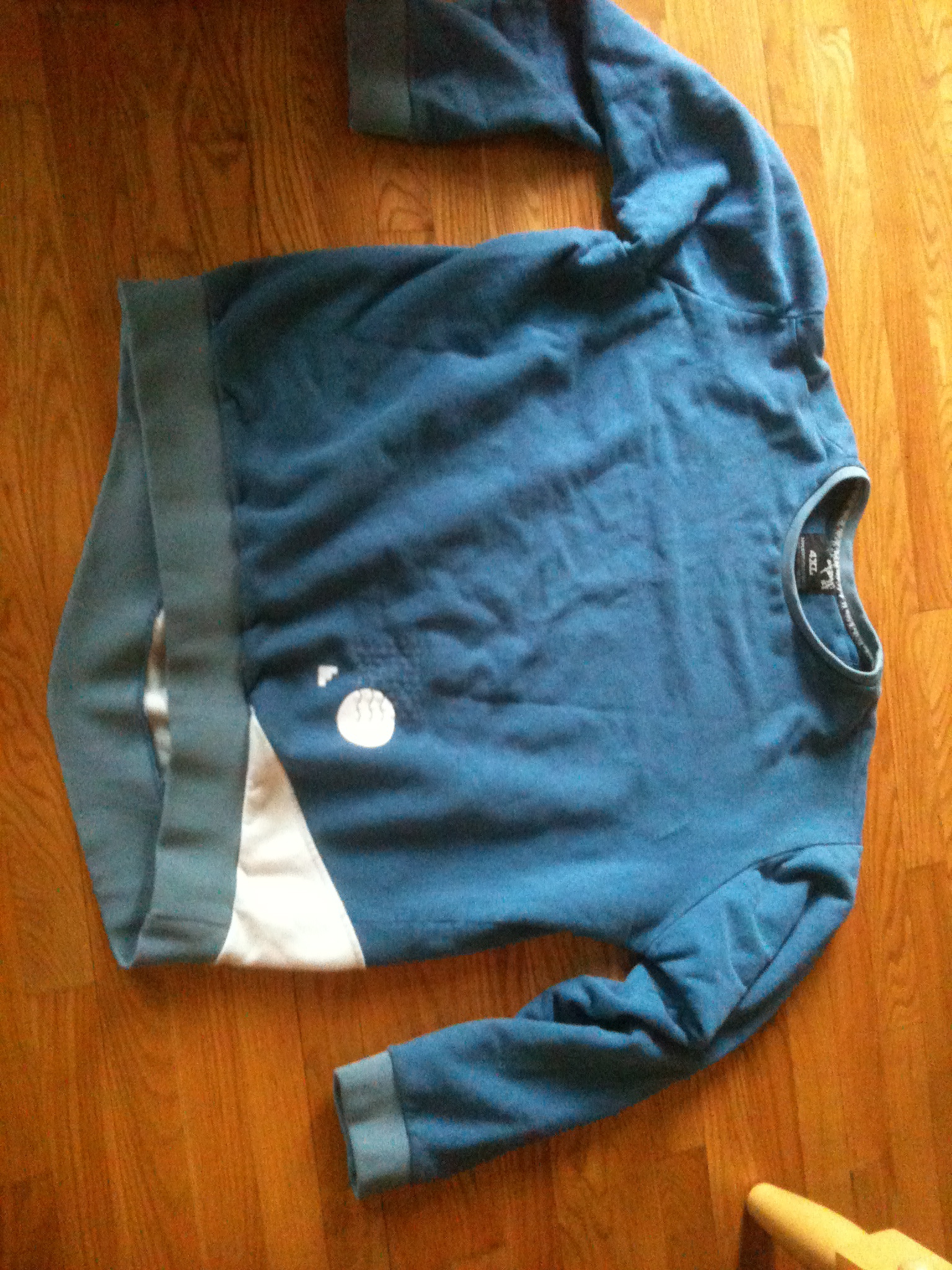 4xl 88 back blue (front)