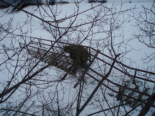 50 ft Edina Double Kink