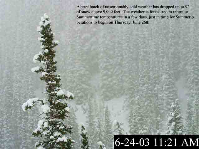 6-24-03 snowfall.....bwahahaha