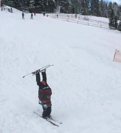 69 FLIP