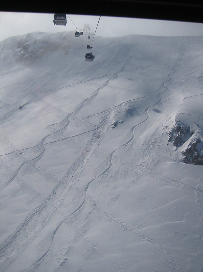 8th Gondi up this morning....