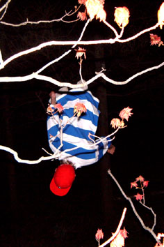 a backflip on a tramp