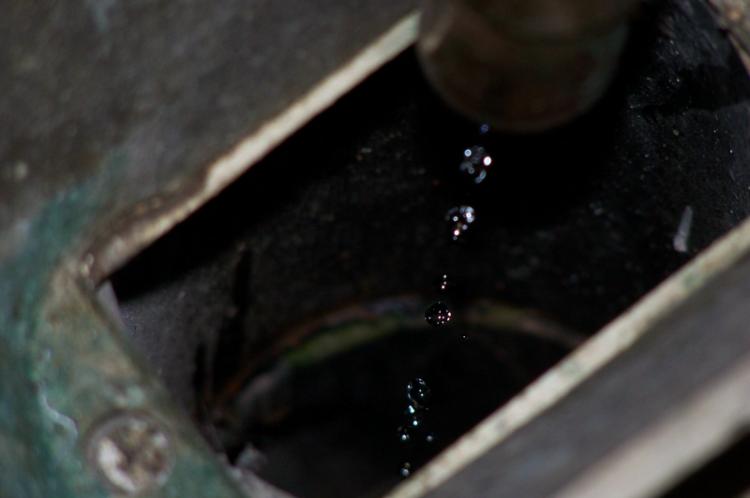 A capture of  Imminent Capture