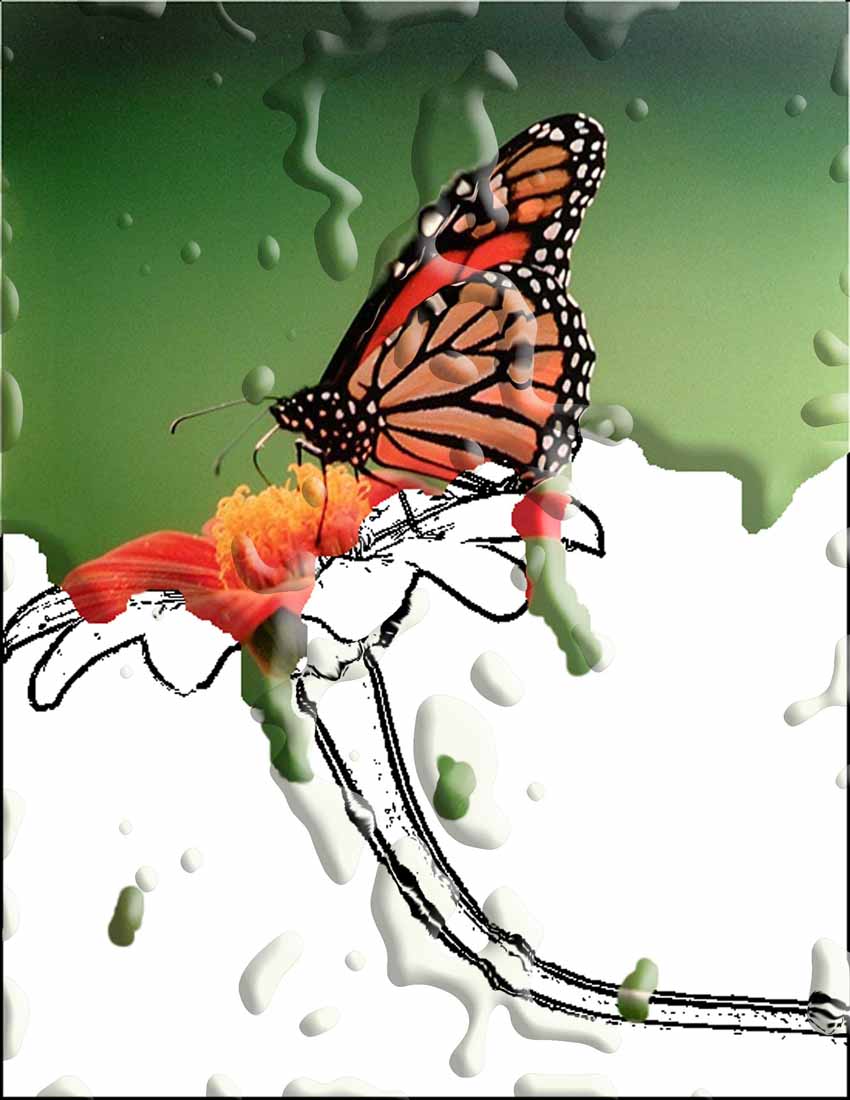 A dripping flower with water...I think its kinda cool