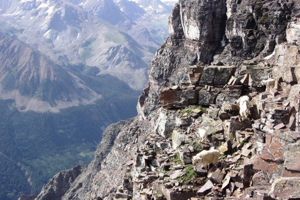 A family out for a hike