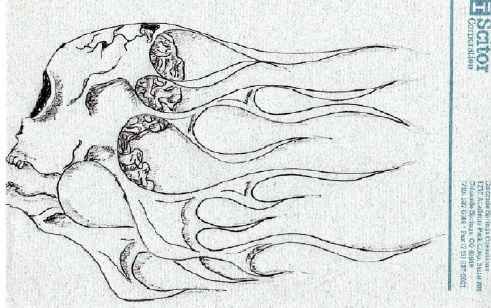 a flaming skull that i drew in pen