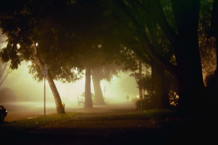 a little fog, a path, and a person
