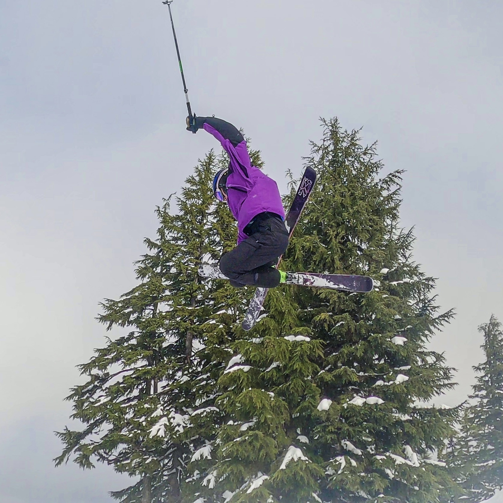 A Mute on a Mt Bachelor Hip