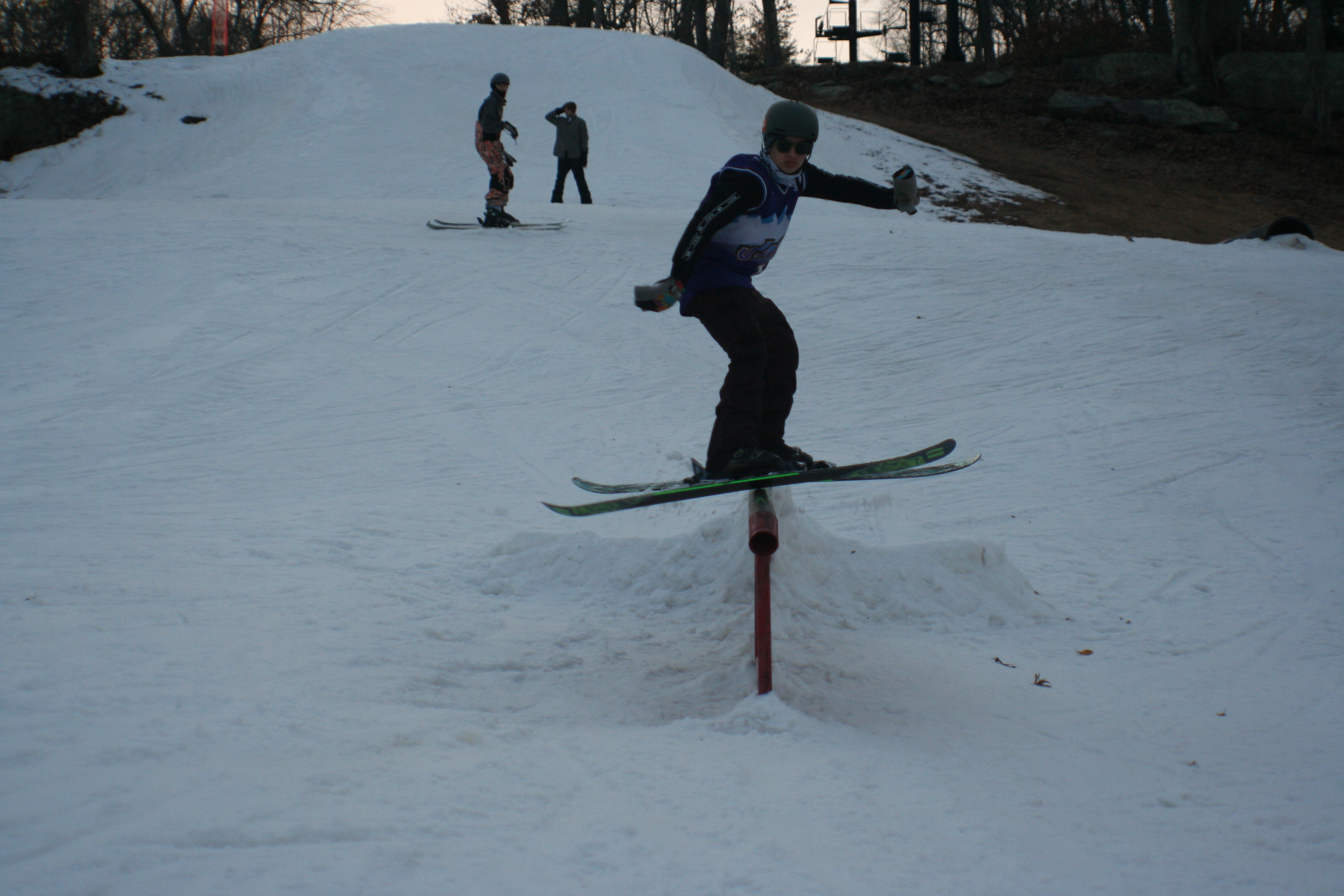 A Narragansett Rail in Exeter, RI