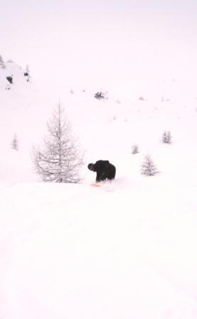 a nice day in february