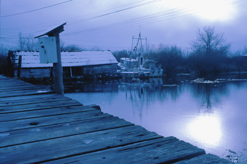 A slough in Richmond, BC.