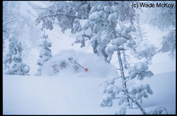 A wonderful day at the bird