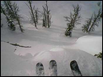 A wonderful lil drop