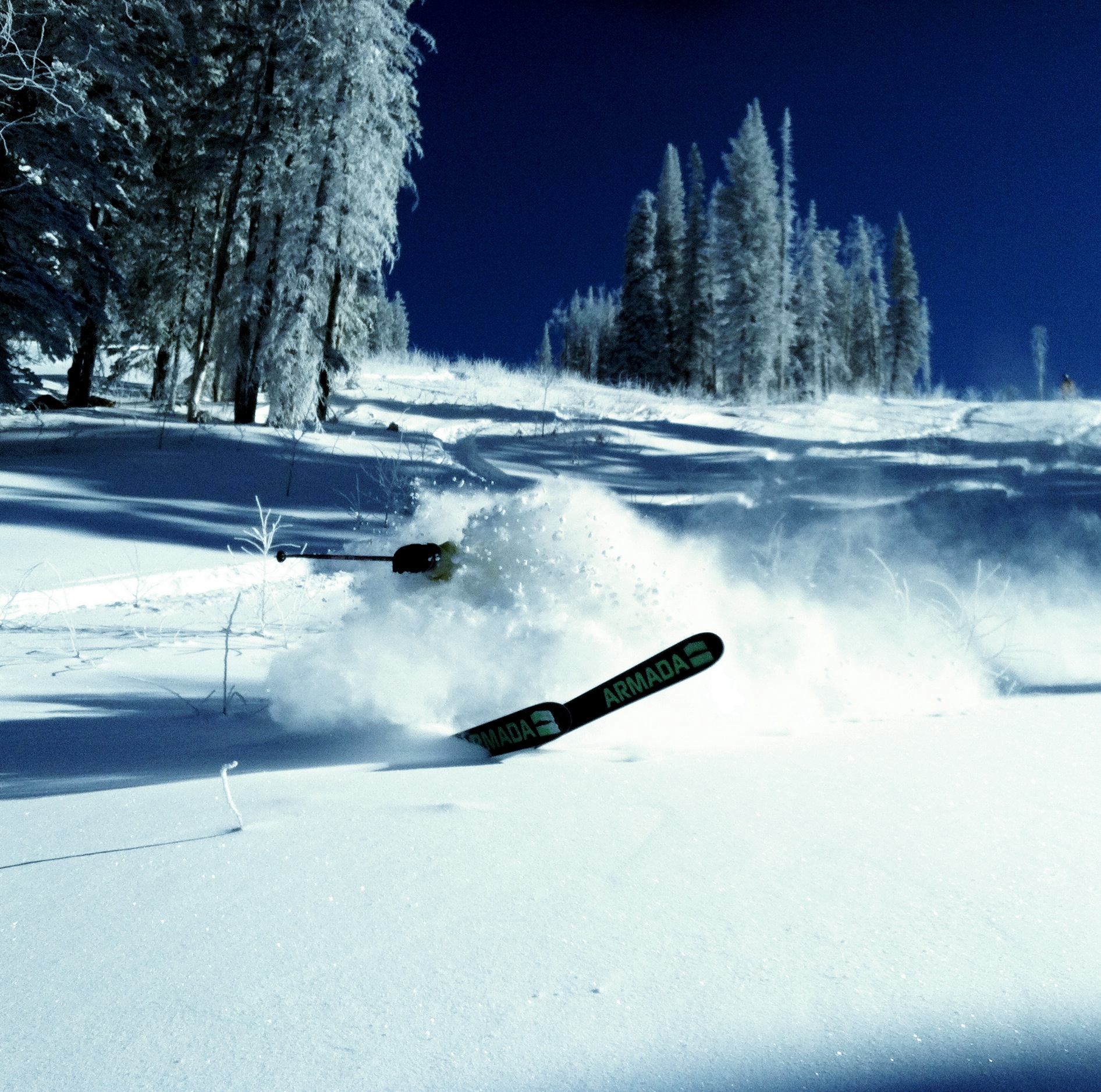 About Time it Snowed