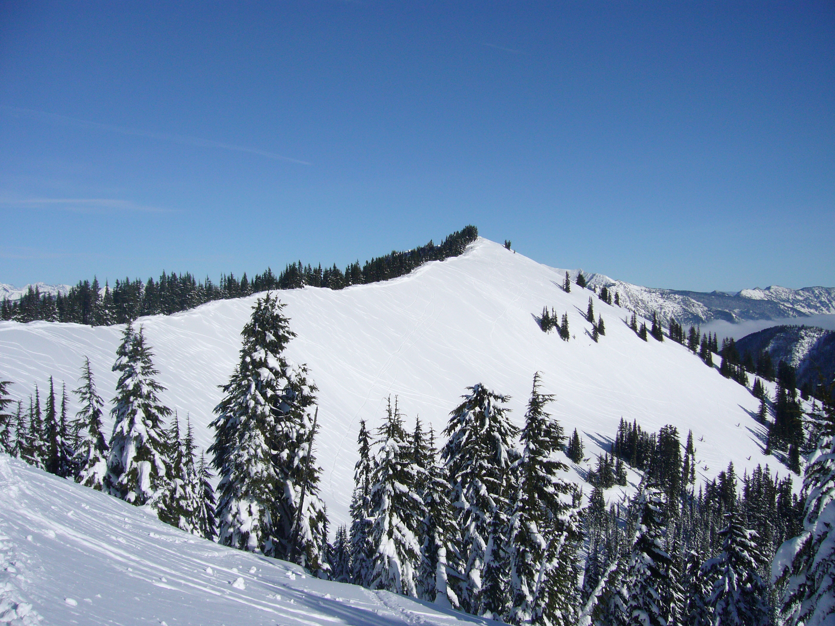 About to get real hiiii