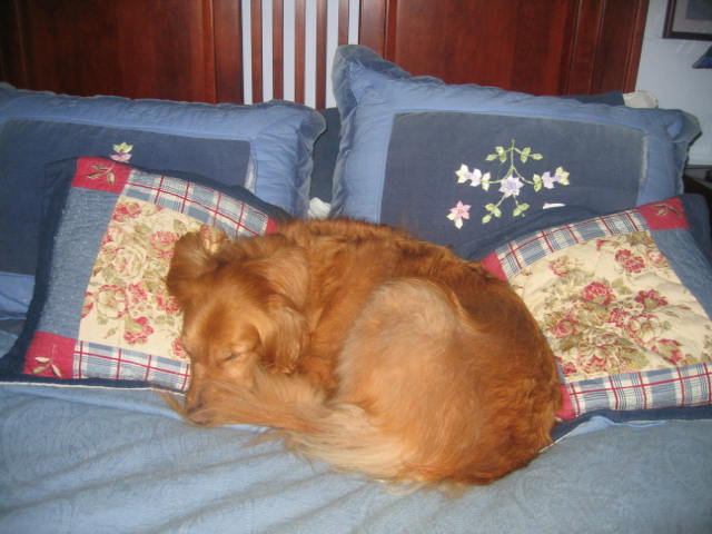 after a long day of hard jumping...