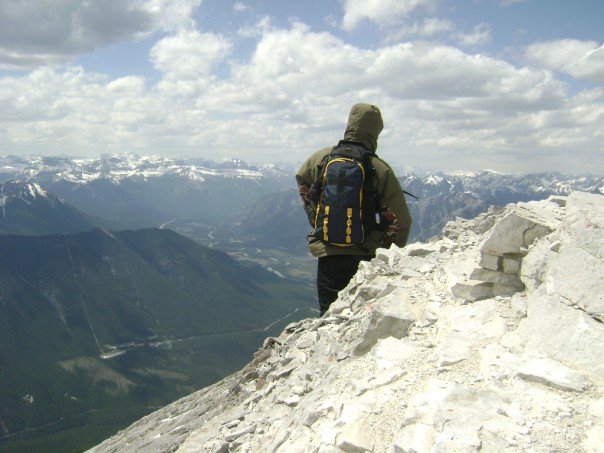 After a long time of going up